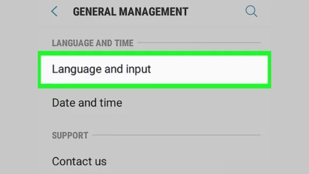 Language and Input Settings
